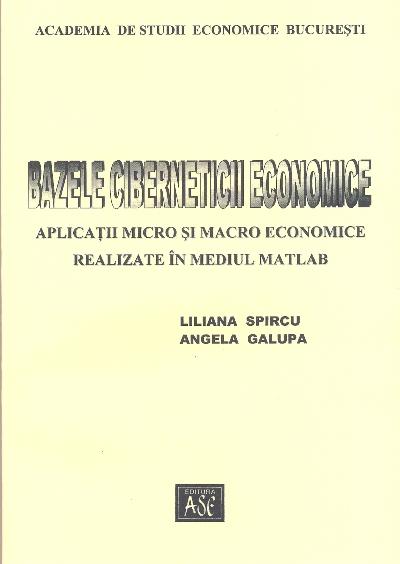 2002 SPIRCU GALUPA Bazele cib SITE